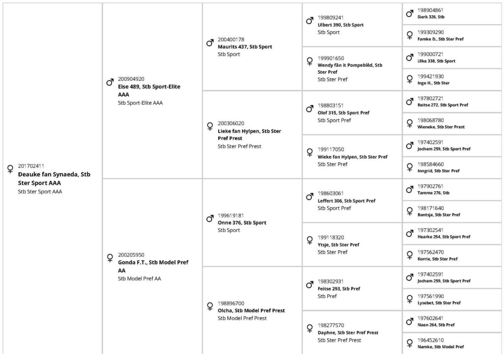 Pedigree Deauke fan Synaeda