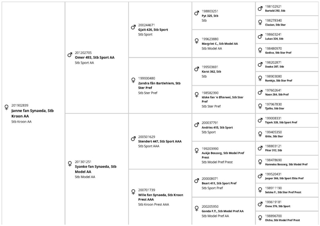 Pedigree Janne fan Synaeda