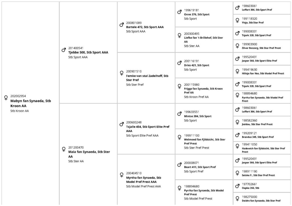 Pedigree Mabyn fan Synaeda