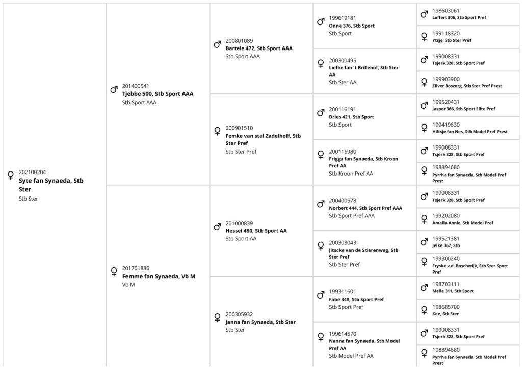 Pedigree Syte fan Synaeda